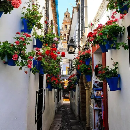 La Pimentera